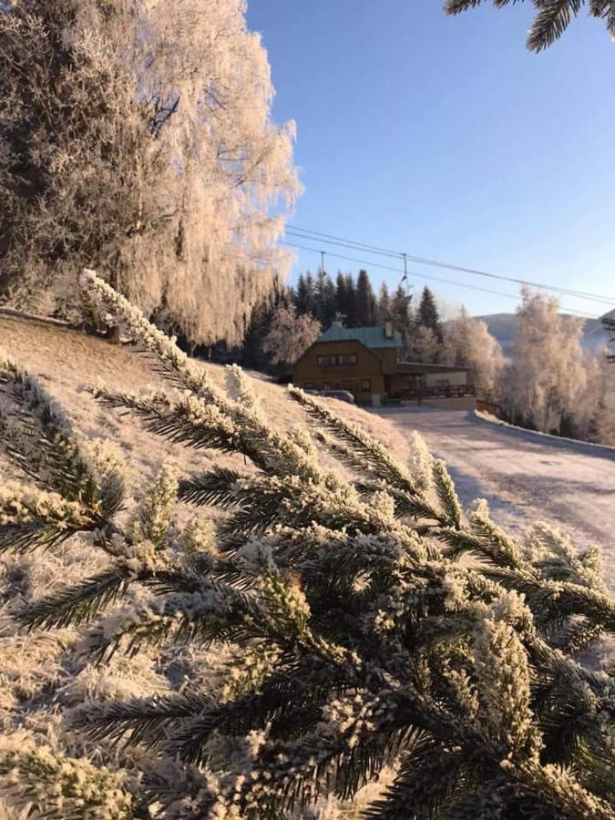 Penzion Alenka Špindlerŭv Mlýn Kültér fotó